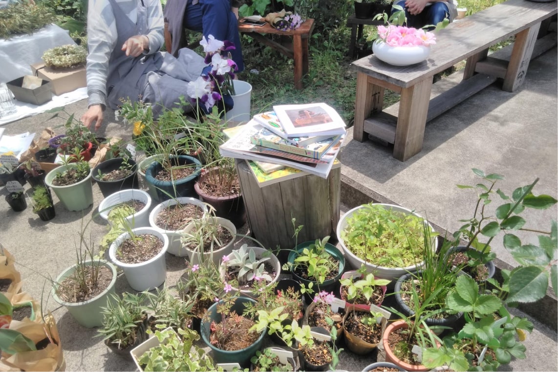 草花交換会