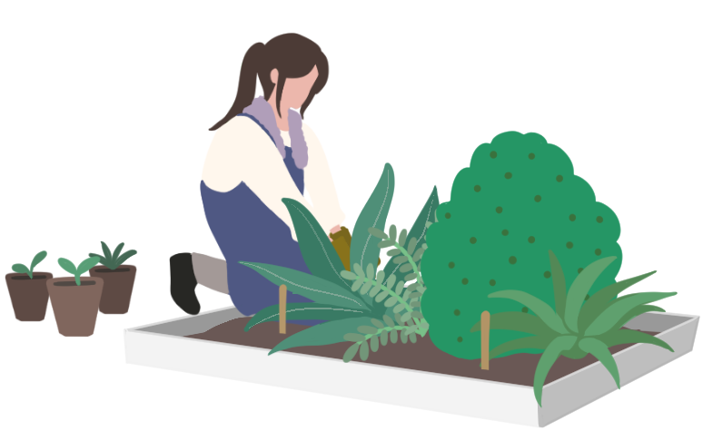 植栽